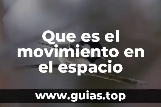 Que es movimiento de bienes 5 Que es el movimiento en el espacio
