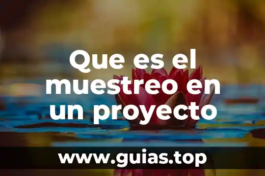 Que es un plan de muestreo concepto 6 Que es el muestreo en un proyecto