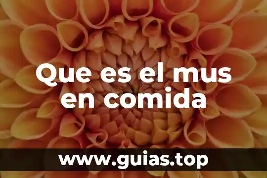 Que es comida típicda 7 Que es el mus en comida