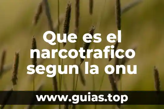 Que es prevencion animal segun la onu 5 Que es el narcotrafico segun la onu