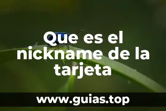 Que es tu nombre del animal 5 Que es el nickname de la tarjeta