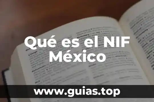 Qué es la inversión en planta según las NIF 4 Qué es el NIF México