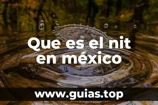 Que es la inclusion para mexico 3 Que es el nit en méxico