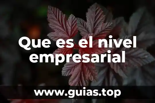 Qué es el nivel de láser 6 Que es el nivel empresarial