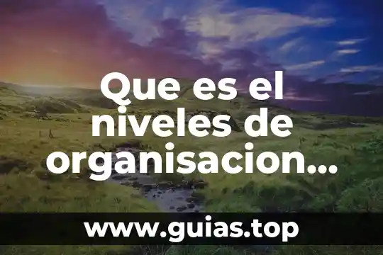Que es la ecología aplicada 7 Que es el niveles de organisacion de la materia ecologia