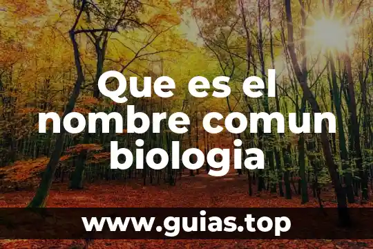 Qué es energía herbívoro en biología 6 Que es el nombre comun biologia