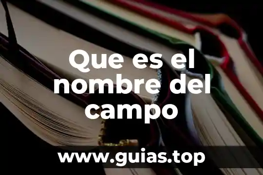 Que es el campo del estudio de la mercadotecnia 3 Que es el nombre del campo