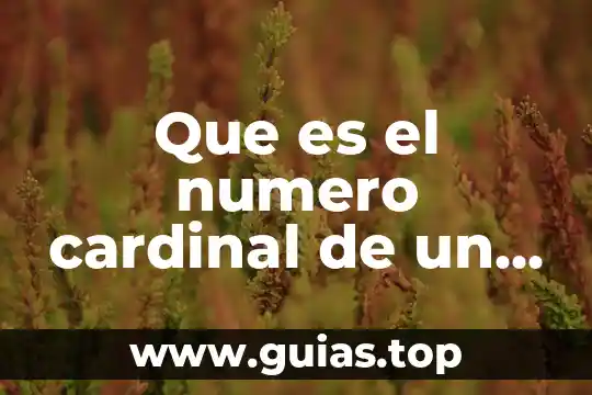 Qué es el número de muestras 6 Que es el numero cardinal de un conjunto