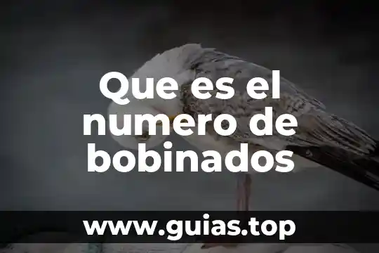 Qué es el número de nucleones 3 Que es el numero de bobinados