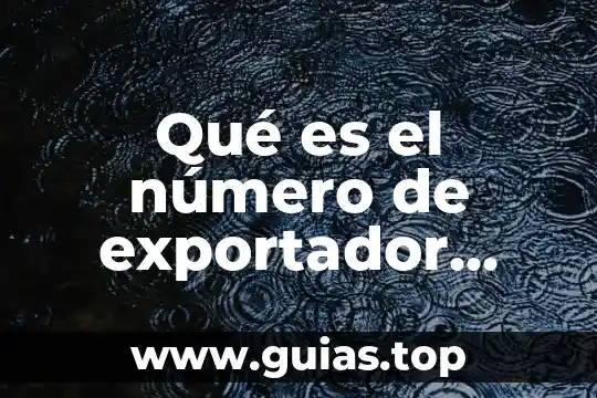 ¿Qué es el número Seruak? 7 Qué es el número de exportador autorizado