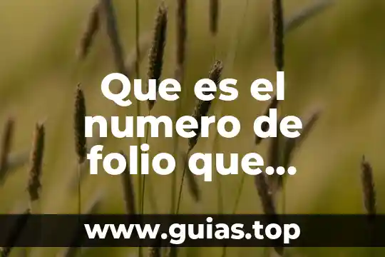 Qué es el número de habitantes por kilómetro cuadrado 7 Que es el numero de folio que pregunta el sat