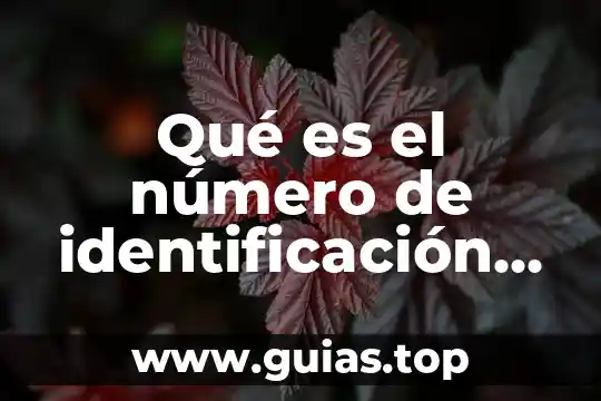 Qué es el número de identificación en INNE 5 Qué es el número de identificación aerolíneas