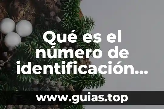 Número prosec que es 4 Qué es el número de identificación en INNE