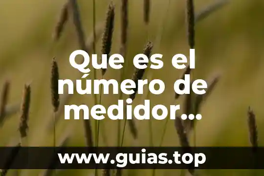 Qué es un número random 4 Que es el número de medidor vecino