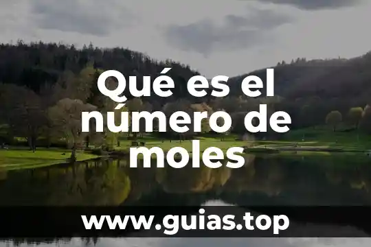 Qué es un número random 6 Qué es el número de moles