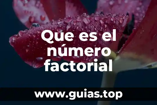 Qué es bloques en informática 4 Que es el número factorial