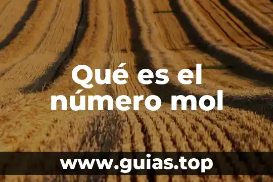 Que es arquitecturas n-tier 4 Qué es el número mol