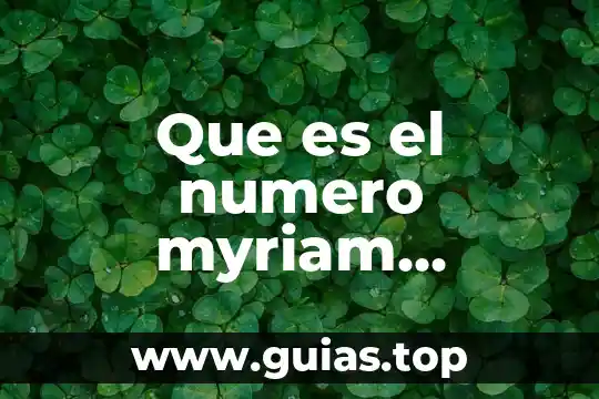 Qué es el número de identificación en INNE 4 Que es el numero myriam nemirovsky