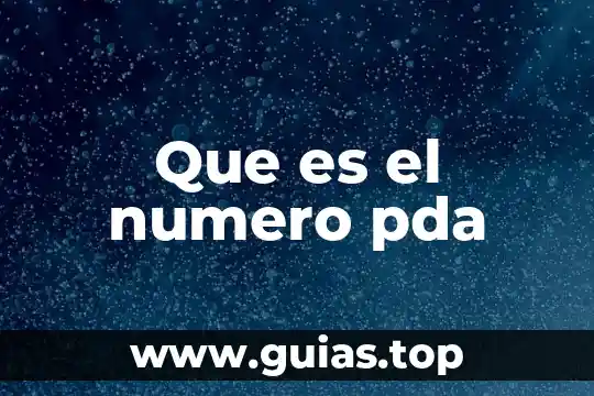 Qué es el número de exportador autorizado 6 Que es el numero pda