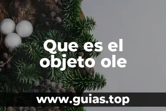 Que es un objeto en clases c 5 Que es el objeto ole