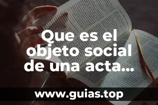 Que es un objeto en clases c 6 Que es el objeto social de una acta constitutiva