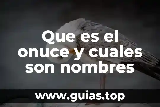 Que es son los elementos del estado 4 Que es el onuce y cuales son nombres