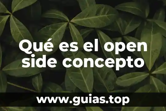 Qué es el derecho internacional público concepto 7 Qué es el open side concepto