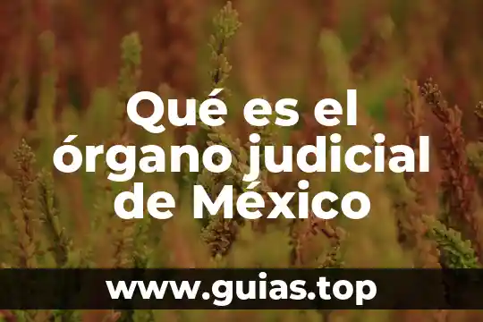 Qué es un órgano de representación gremial 7 Qué es el órgano judicial de México