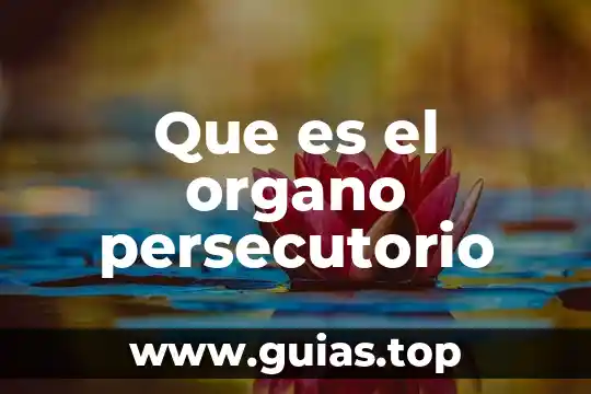 Qué es un órgano de representación gremial 6 Que es el organo persecutorio