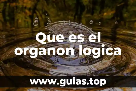Qué es la razón en la lógica 7 Que es el organon logica