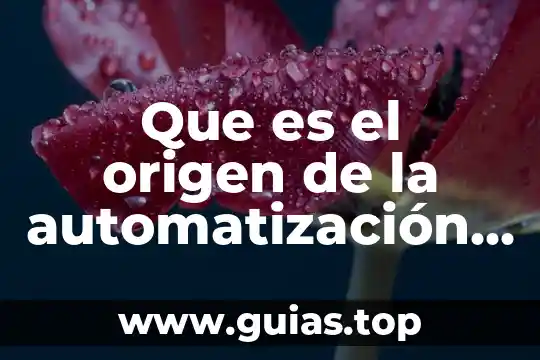Que es el alias de la tarjeta liverpool 7 Que es el origen de la automatización de la industrial