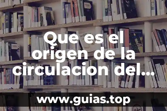 Que es un skid en una planta tratadora de agua 5 Que es el origen de la circulacion del agua