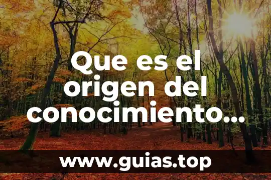 Que es experimentar definición para niños 8 Que es el origen del conocimiento definicion