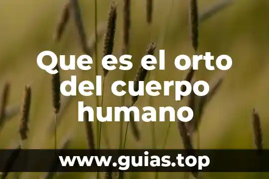 Que es parasitismo animal 5 Que es el orto del cuerpo humano