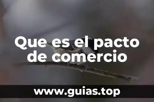 Que es el pacto fiscal en jalisco 5 Que es el pacto de comercio