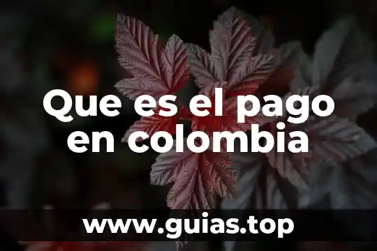 Que es pago por compensacion 8 Que es el pago en colombia