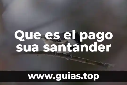 Que es el fruto planta 8 Que es el pago sua santander