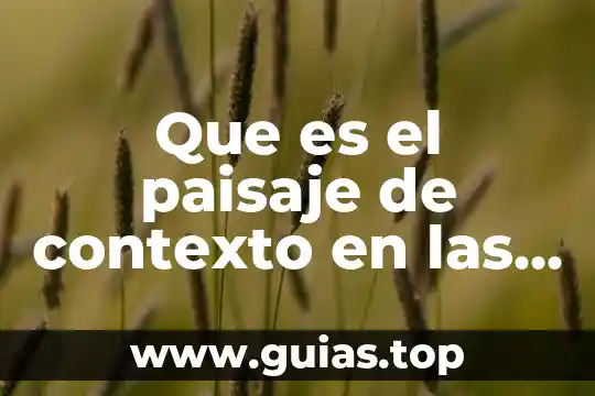 Qué es el paisaje definición 6 Que es el paisaje de contexto en las artes visuales