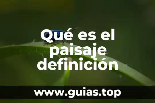 Que es area en paisaje 4 Qué es el paisaje definición