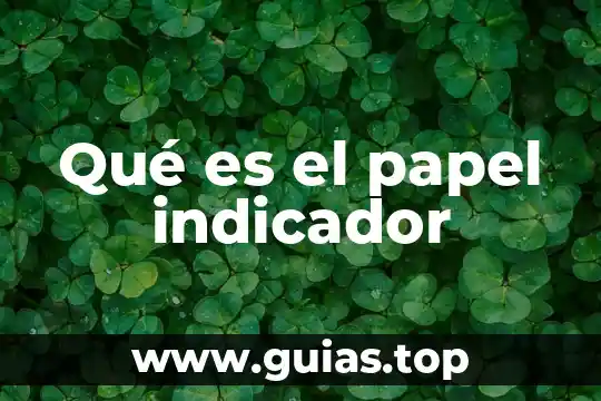 Qué es un indicador griego 8 Qué es el papel indicador