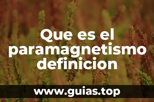 Qué es formato de celdas en Excel definición 5 Que es el paramagnetismo definicion