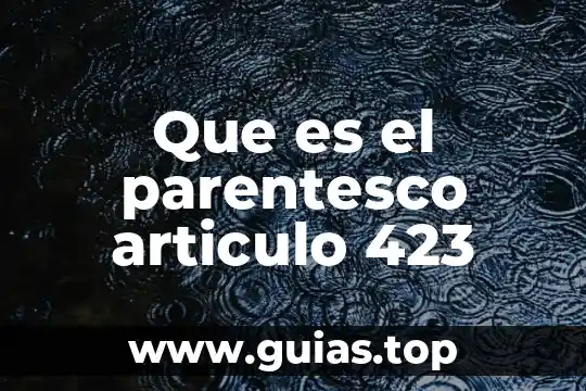 Que es ser liderazgo ejemplo 3 Que es el parentesco articulo 423