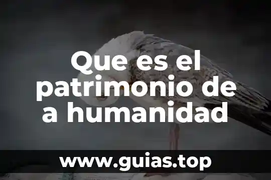 Patrimonio cultural de la humanidad regional que es 4 Que es el patrimonio de a humanidad