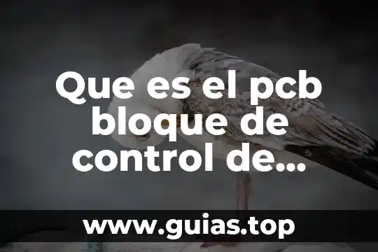 Control pediatrico recien nacido que es 4 Que es el pcb bloque de control de procesos