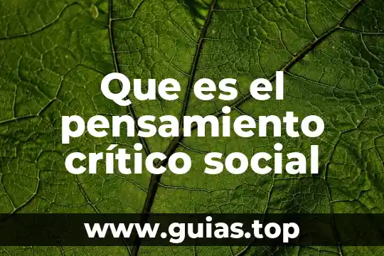 Que es un punto critico de control en uroanalisis 3 Que es el pensamiento crítico social
