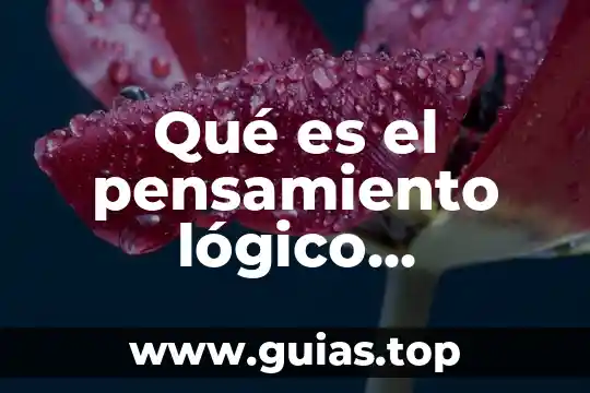 Que es el pensamiento matematico para piaget 5 Qué es el pensamiento lógico matemático en niños