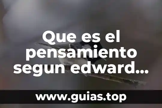 Que es hacer segun l edward de bono 5 Que es el pensamiento segun edward de bono