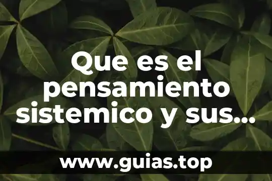 Que es el pensamiento lineal y sus caracteristicas 7 Que es el pensamiento sistemico y sus caracteristicas