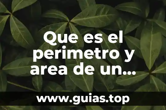 Circulo guía que es un sistema 7 Que es el perimetro y area de un circulo