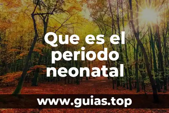 Que es el periodo patente de una enfermedad 3 Que es el periodo neonatal
